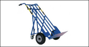 lenio117030.jpg